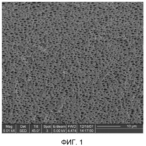 Пористое полимерное покрытие для отбеливания зубов (патент 2517320)