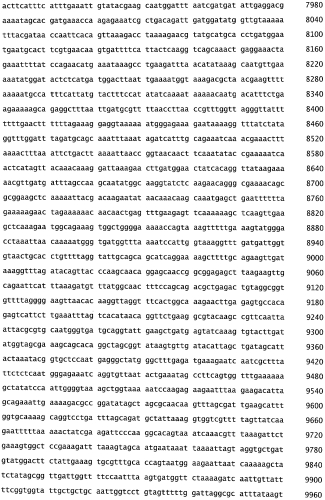 Бактериофаг, обладающий активностью против pseudomonas aeruginosa, белки бактериофага и способы их применения (патент 2580248)