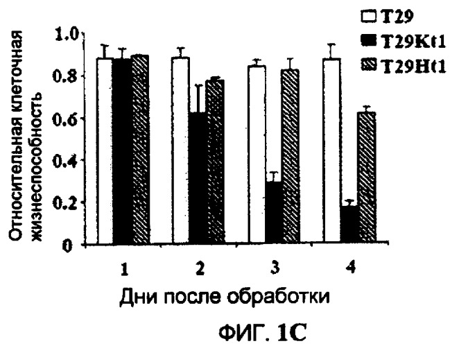 Онкогенное ras-специфичное цитотоксическое соединение и способы его применения (патент 2448703)