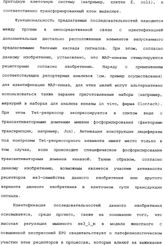Ее3-семейство белков и соответствующие днк-последовательности (патент 2333918)