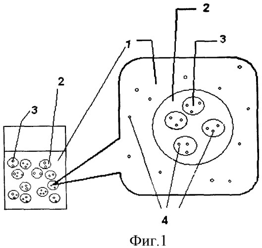 Косметическое средство накожного применения и способ его получения (патент 2436559)