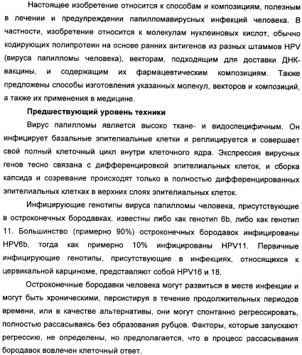 Полинуклеотидная последовательность, кодирующая полипептид вируса папилломы человека, ее применение, а также содержащие ее вектор и фармацевтическая композиция (патент 2354701)