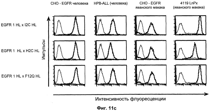 Биспецифические связывающие агенты с межвидовой специфичностью (патент 2535992)