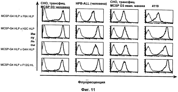 Psma×cd3 биспецифическое одноцепочечное антитело с межвидовой специфичностью (патент 2559531)