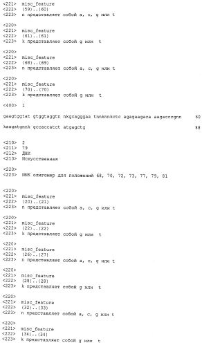 Мутеины липокалина 2 человека (lcn2, hngal) с аффинностью для определенной мишени (патент 2564125)