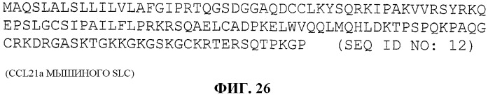 Днк-вакцины против опухолевого роста и способы их применения (патент 2343195)