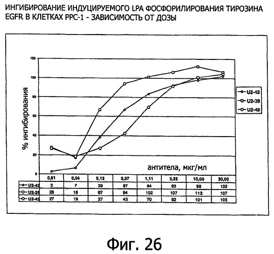 Белки, связывающие антиген фактор роста, подобный гепаринсвязывающему эпидермальному фактору роста (патент 2504551)