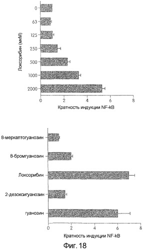 Иммуностимулирующие g, u-содержащие олигорибонуклеотиды (патент 2302865)