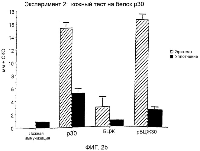 Иммуногенная композиция (варианты) на основе рекомбинантного внутриклеточного патогена (патент 2337707)