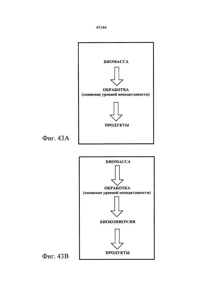 Переработка биомассы (патент 2649370)