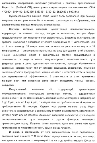 Способ усиления иммунного ответа млекопитающего на антиген (патент 2370537)