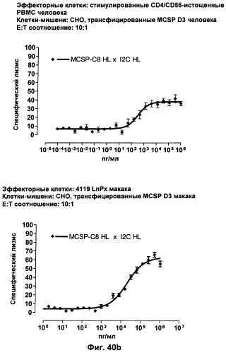 Pscaxcd3, cd19xcd3, c-metxcd3, эндосиалинxcd3, epcamxcd3, igf-1rxcd3 или fap-альфаxcd3 биспецифическое одноцепочечное антитело с межвидовой специфичностью (патент 2547600)