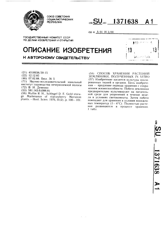 Способ хранения растений земляники, полученных in viтrо (патент 1371638)