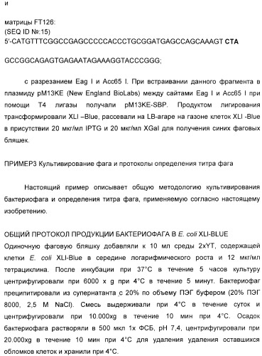 Селективная посттрансляционная модификация экспонируемых фагами полипептидов (патент 2459866)