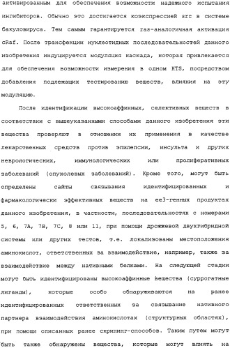Ее3-семейство белков и соответствующие днк-последовательности (патент 2333918)