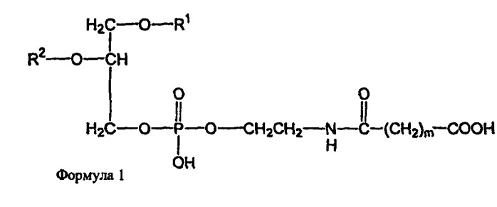Новые композиции липосом (патент 2454229)
