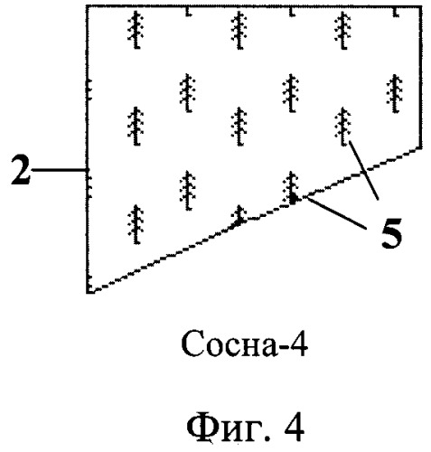 Способ измерения выдела леса для электронной тематической лесной карты (патент 2378823)