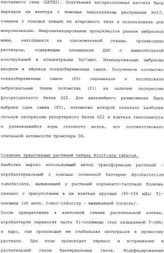 Новые флуоресцирующие белки aequorea coerulscens и способы их применения (патент 2330886)