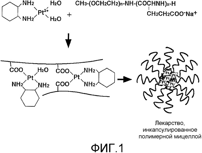 Координационный комплекс диаминоциклогексана платины (ii) с блоксополимером, содержащим сегмент поли(карбоновой кислоты), и включающий его противораковый агент (патент 2335512)