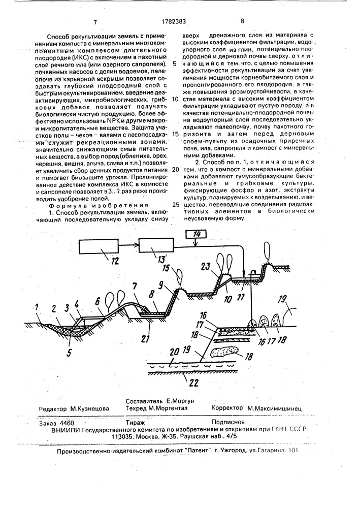 Способ рекультивации земель (патент 1782383)