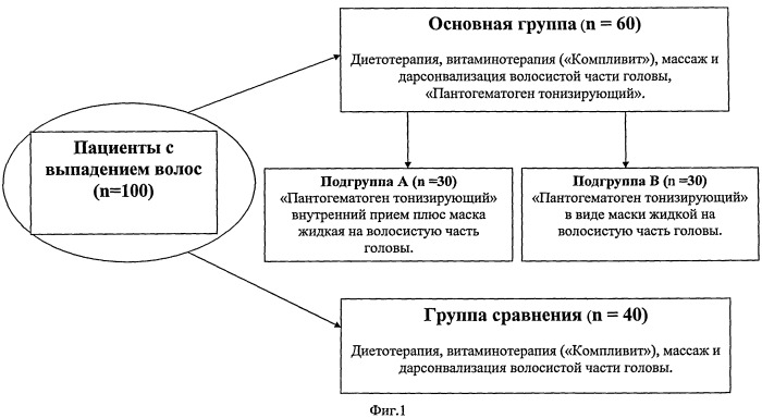 Способ лечения алопеции (патент 2406512)