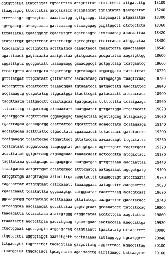 Бактериофаг, обладающий активностью против pseudomonas aeruginosa, белки бактериофага и способы их применения (патент 2580248)
