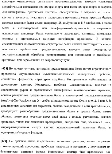 Набор последовательностей для таргетинга экспрессии и контроля посттрансляционных модификаций рекомбинантного полипептида (патент 2481399)