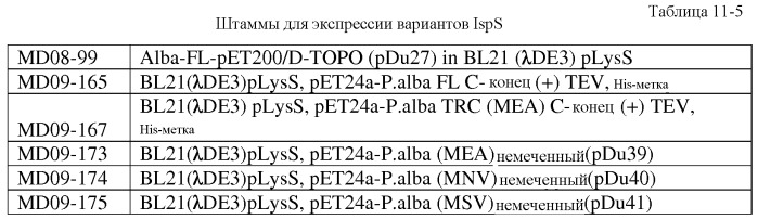 Варианты изопренсинтазы, применяемые для улучшения продуцирования изопрена микроорганизмами (патент 2516343)