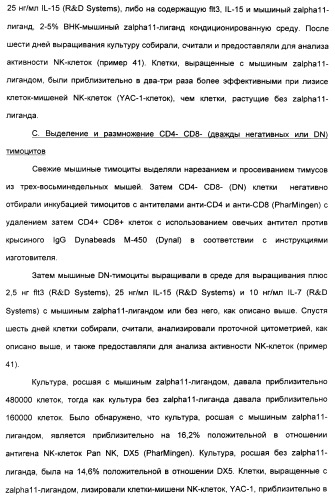 Выделенный полипептид, связывающий рецептор zalpha11-лиганда (варианты), кодирующий его полинуклеотид (варианты), вектор экспрессии (варианты) и клетка-хозяин (варианты) (патент 2346951)