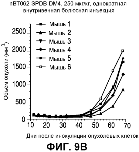 Применения иммуноконъюгатов, мишенью которых является cd138 (патент 2561041)