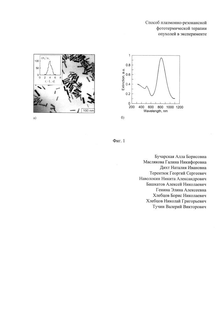 Способ плазмонно-резонансной фототермической терапии опухолей в эксперименте (патент 2614507)