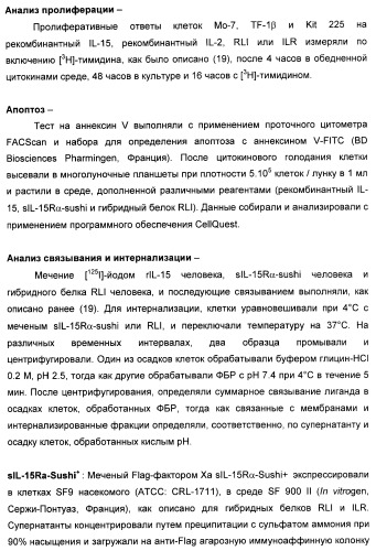 Соединение, предназначенное для стимуляции пути передачи сигнала через il-15rбета/гамма, с целью индуцировать и/или стимулировать активацию и/или пролиферацию il-15rбета/гамма-положительных клеток, таких как nk-и/или t-клетки, нуклеиновая кислота, кодирующая соединение, вектор экспрессии, клетка-хозяин, адъювант для иммунотерапевтической композиции, фармацевтическая композиция и лекарственное средство для лечения состояния или заболевания, при котором желательно повышение активности il-15, способ in vitro индукции и/или стимуляции пролиферации и/или активации il-15rбета/гамма-положительных клеток и способ получения in vitro активированных nk-и/или t-клеток (патент 2454463)