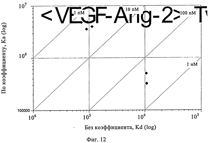 Биспецифические анти-vegf/анти-ang-2 антитела (патент 2542382)