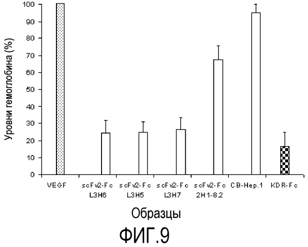 Рекомбинантные антитела против фактора роста эндотелия сосудов (vegf), полученные посредством мутагенеза вариабельной области (патент 2557309)