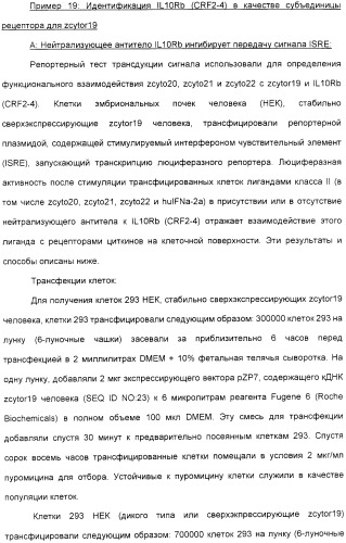 Выделенный полипептид, обладающий антивирусной активностью (варианты), кодирующий его полинуклеотид (варианты), экспрессирующий вектор, рекомбинантная клетка-хозяин, способ получения полипептида, антитело, специфичное к полипептиду, и фармацевтическая композиция, содержащая полипептид (патент 2321594)