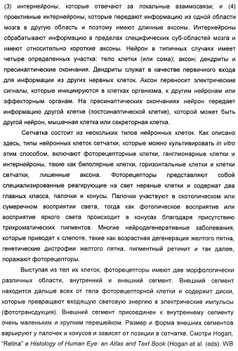 Соединения, представляющие собой стиролильные производные, для лечения офтальмических заболеваний и расстройств (патент 2494089)