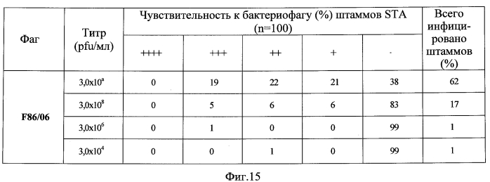 Бактериофаг, обладающий активностью против pseudomonas aeruginosa, белки бактериофага и способы их применения (патент 2580248)
