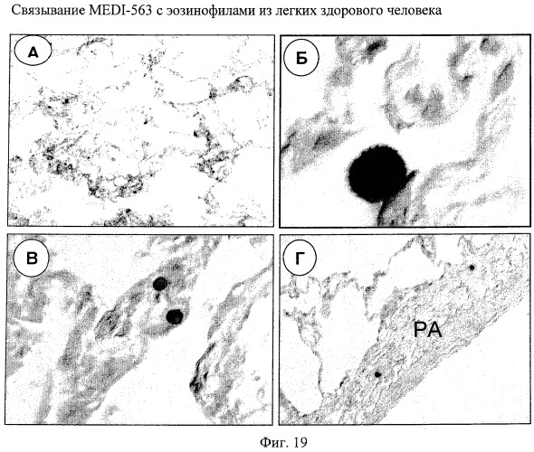 Способы снижения числа эозинофилов (патент 2519227)