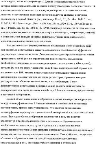 Способ лечения и предупреждения потери костной ткани (патент 2319483)