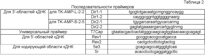 Гены пшеницы triticum kiharae, кодирующие антимикробные пептиды (патент 2483109)