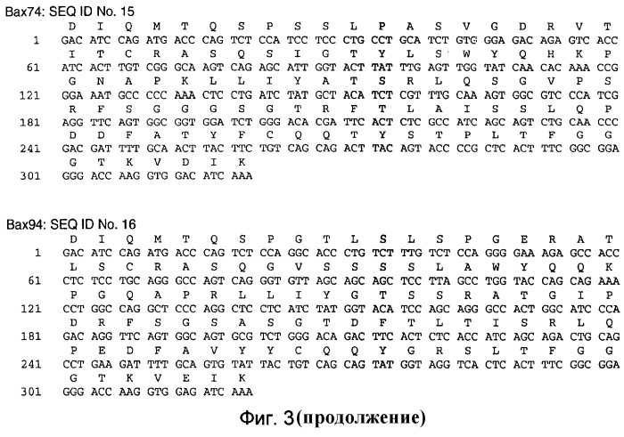 Анти-mif антитела (патент 2509777)