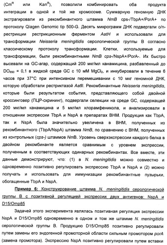 Нейссериальные вакцинные композиции, содержащие комбинацию антигенов (патент 2494758)