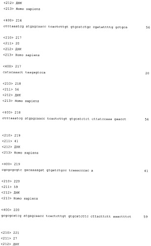 Слитые белки альбумина (патент 2369404)