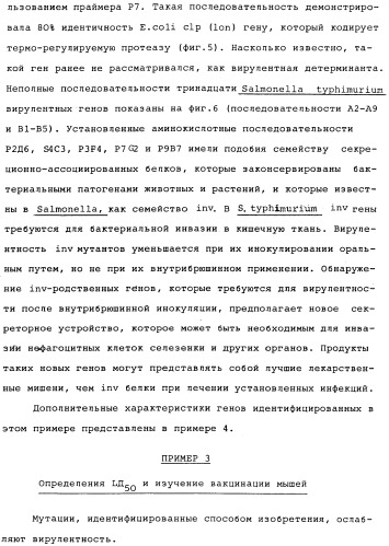 Vgc2 днк salmonella typhimurium, мутантная бактерия, обладающая пониженной способностью к адаптации к условиям окружающей среды, и способ ее получения (патент 2370541)