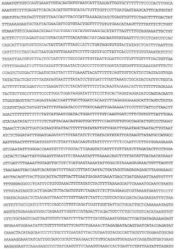 Применение s1p (патент 2362565)