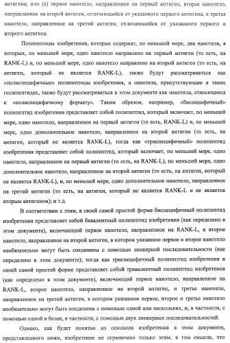 Аминокислотные последовательности, направленные на rank-l, и полипептиды, включающие их, для лечения заболеваний и нарушений костей (патент 2481355)