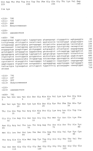 Cd3-эпсилон-связывающий домен с межвидовой специфичностью (патент 2561457)