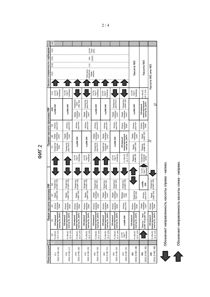 Объект кукурузы mon 87411 (патент 2648155)