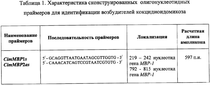 Олигонуклеотидные праймеры для идентификации возбудителей кокцидиоидомикоза coccidioides immitis и coccidioides posadasii (патент 2346046)