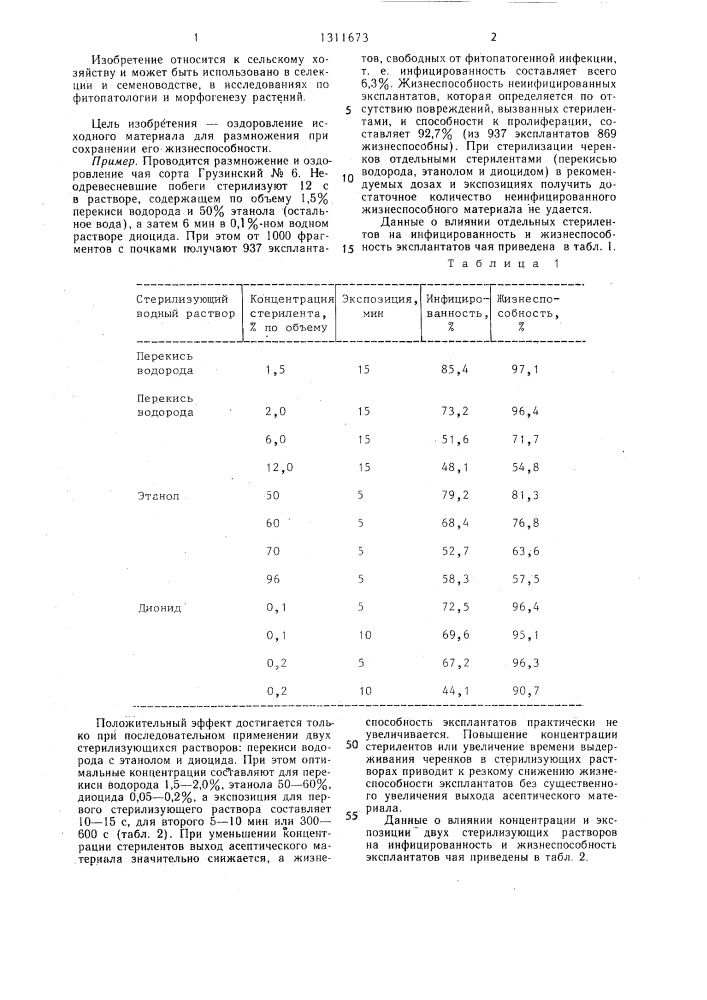 Способ размножения чая @ @ (патент 1311673)